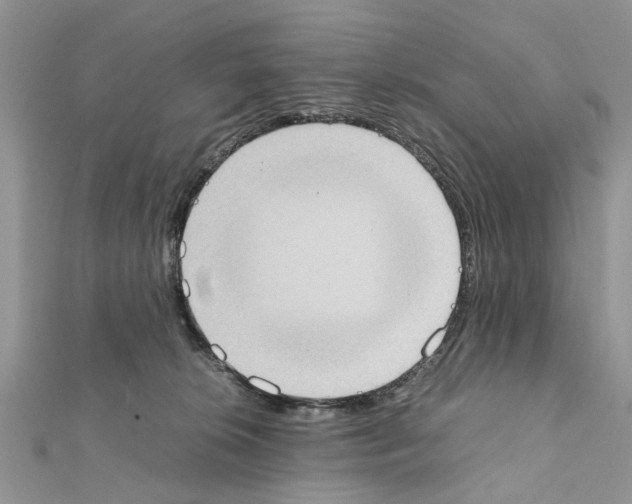 X0000111370276200908211325