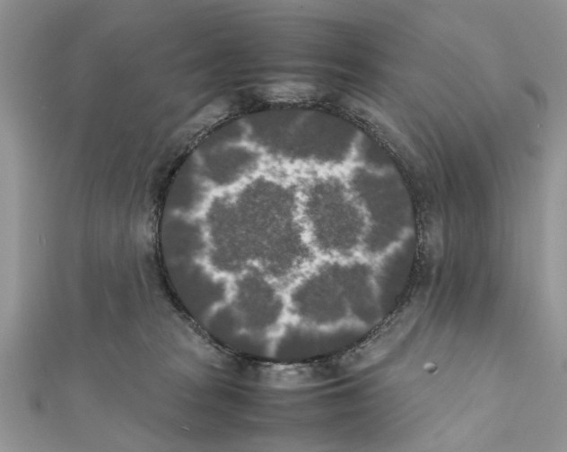 X0000111370277200908211325