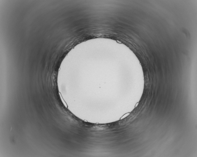X0000111370280200908211325