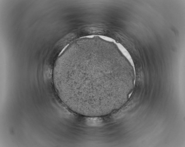 X0000111370281200908211325