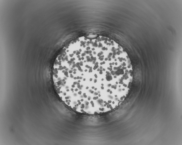 X0000111370282200908211325