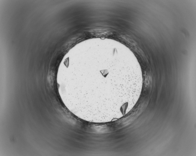 X0000111370283200908211325