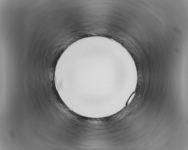 X0000111370284200908211325