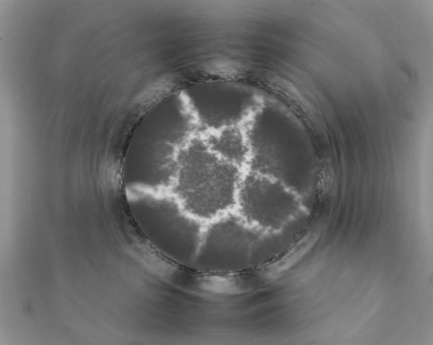X0000111370285200908211325