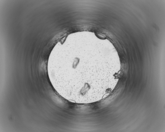 X0000111370286200908211325