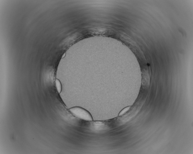 X0000111370287200908211325