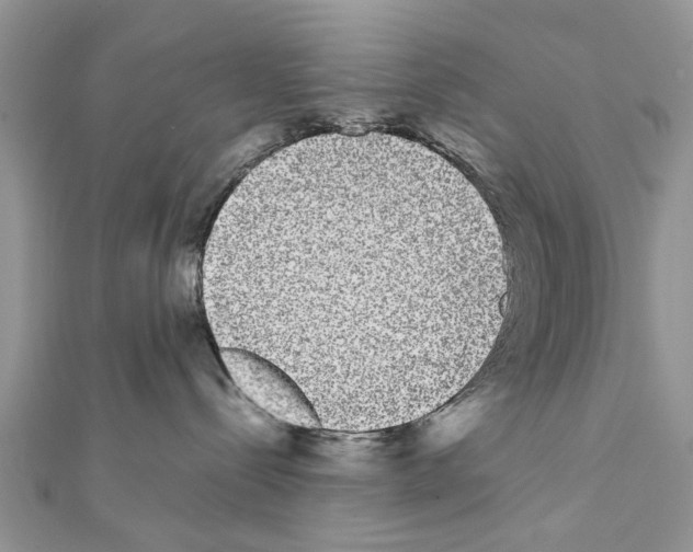 X0000111370288200908211325