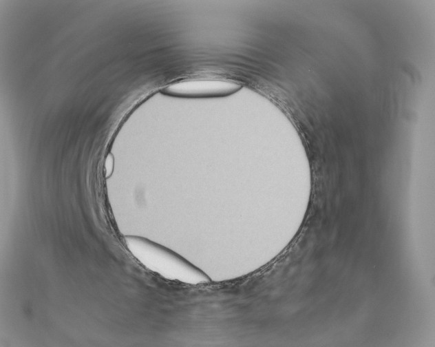 X0000111370289200908211324