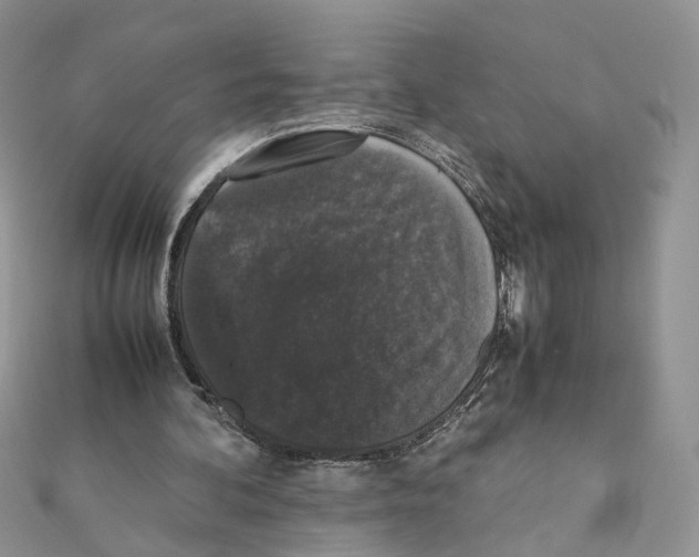 X0000111370292200908211324