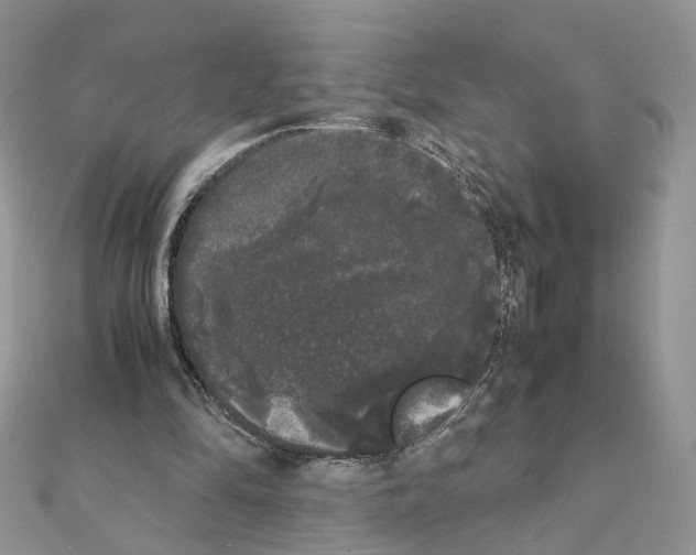 X0000111370294200908211324