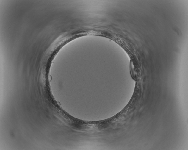 X0000111370295200908211324
