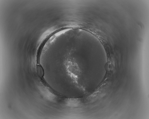 X0000111370296200908211324