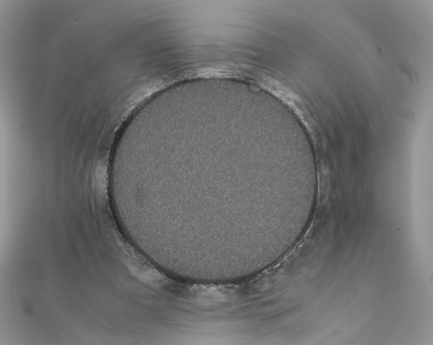 X0000111370297200908211324