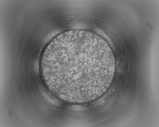 X0000111370298200908211324