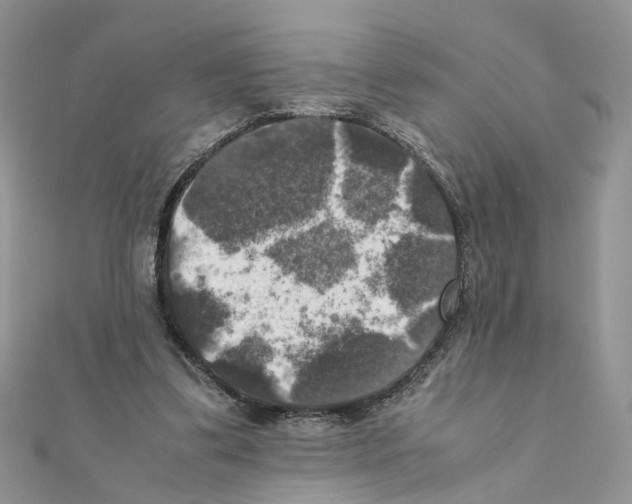 X0000111370299200908211324