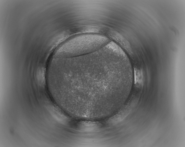 X0000111370300200908211324