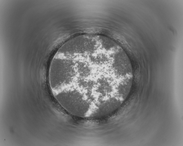X0000111370303200908211324
