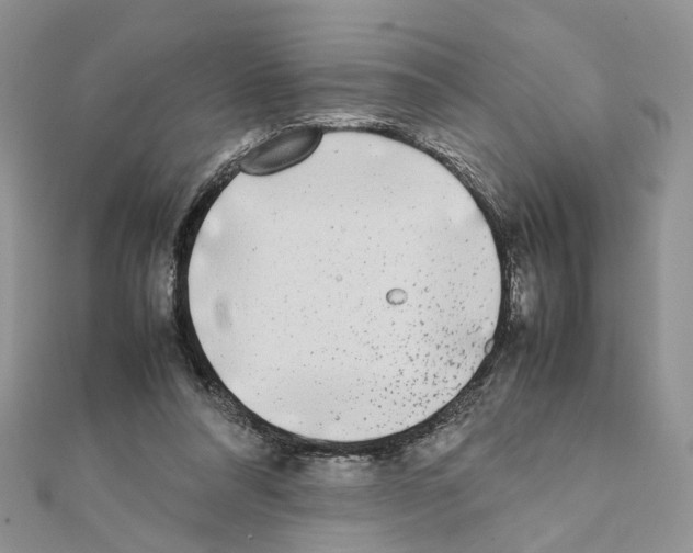 X0000111370304200908211324