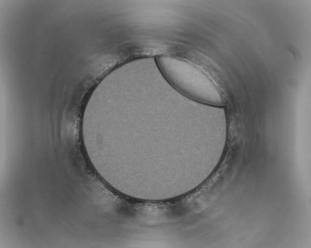 X0000111370305200908211324