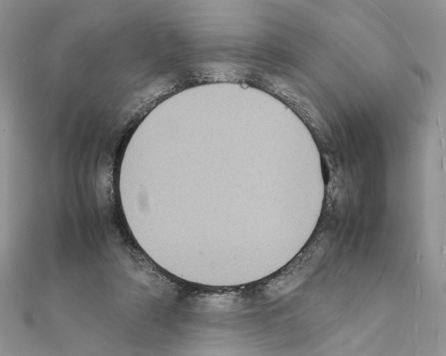 X0000111370306200908211324