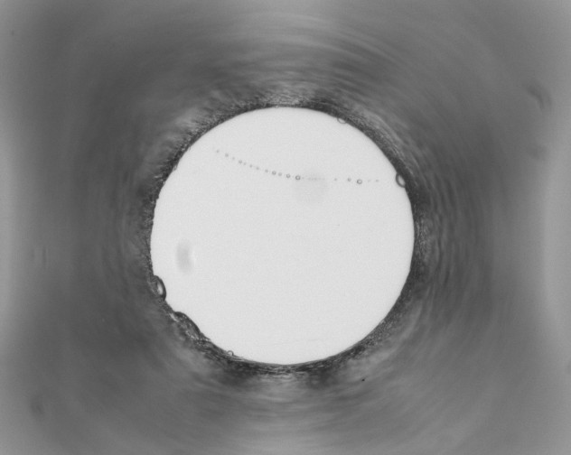 X0000111370307200908211324