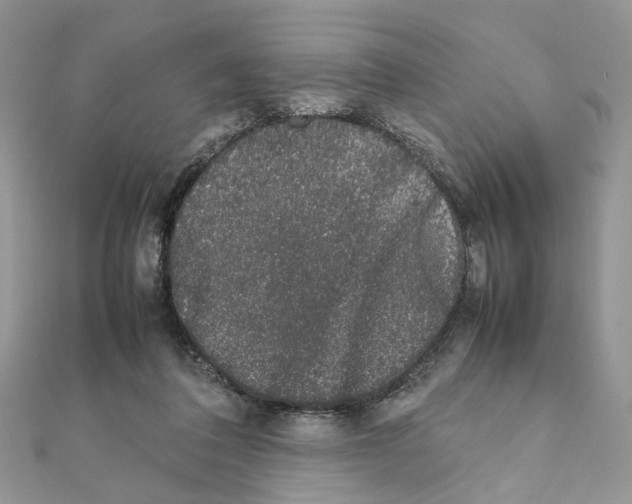 X0000111370308200908211324
