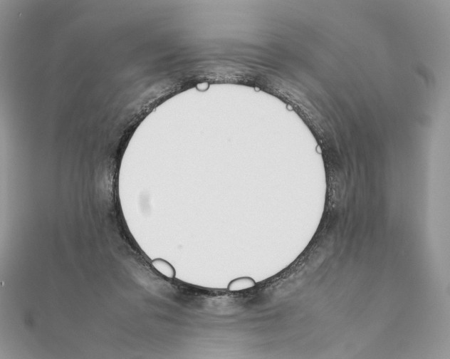 X0000111370309200908211324