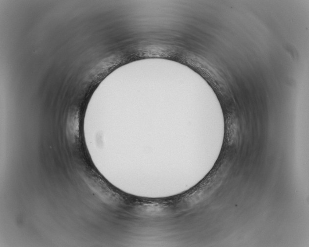 X0000111370310200908211324