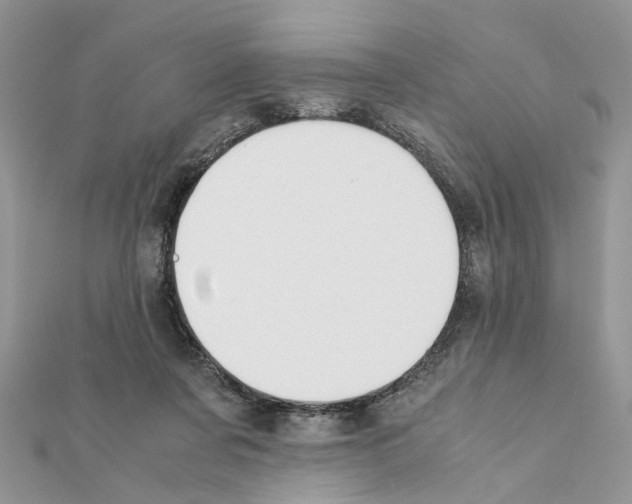 X0000111370311200908211324