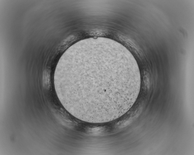 X0000111370312200908211324