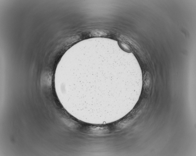 X0000111370315200908211324