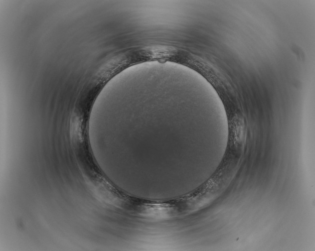 X0000111370316200908211324