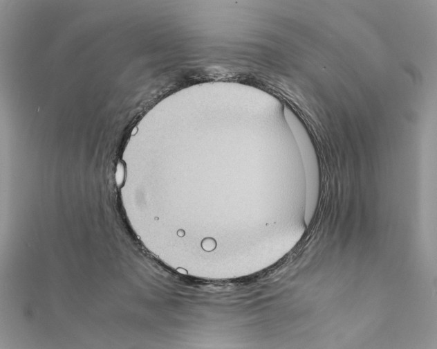 X0000111370317200908211324