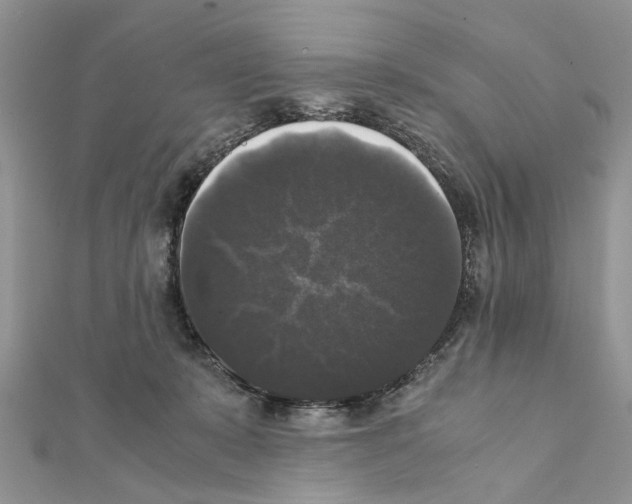 X0000111370319200908211324