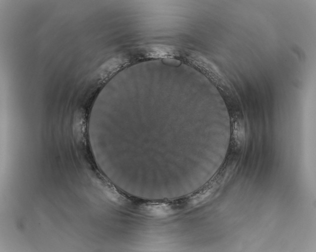 X0000111370322200908211324