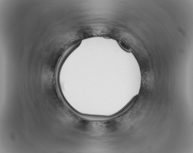 X0000111370327200908211324