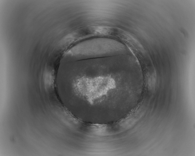 X0000111370328200908211324