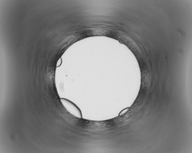 X0000111370329200908211324