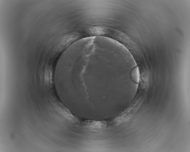 X0000111370330200908211324
