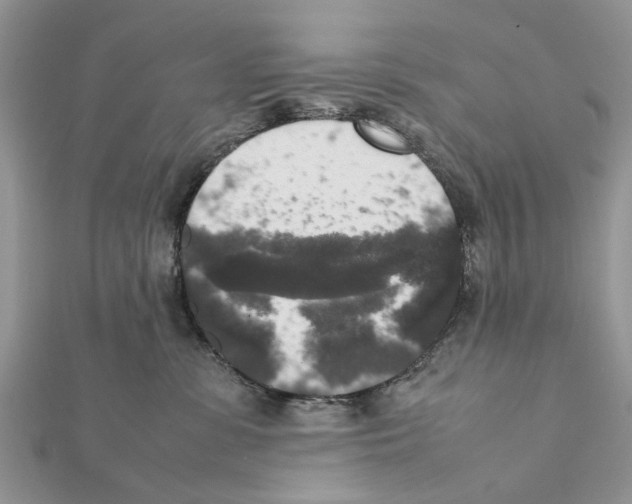X0000111370331200908211324