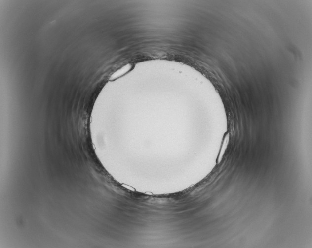 X0000111370332200908211324