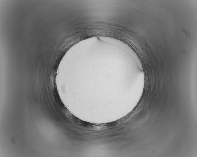X0000111370333200908211324