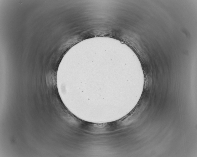 X0000111370335200908211324