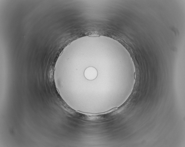 X0000111370336200908211324