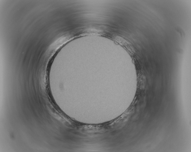 X0000111370338200908211323