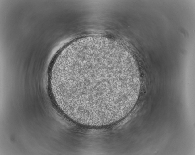 X0000111370342200908211323