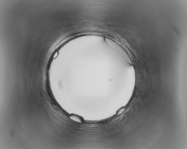 X0000111370344200908211323