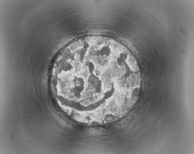 X0000111370346200908211323
