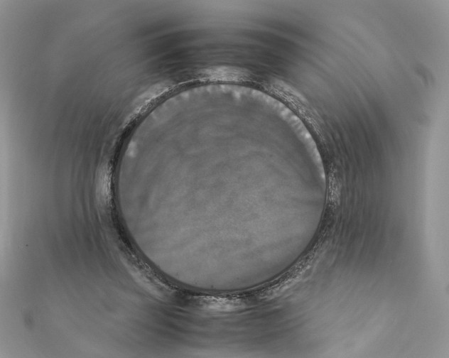 X0000111370347200908211323