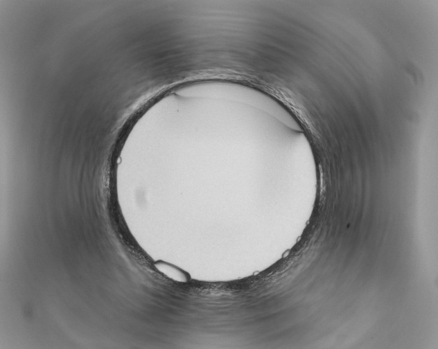X0000111370348200908211323